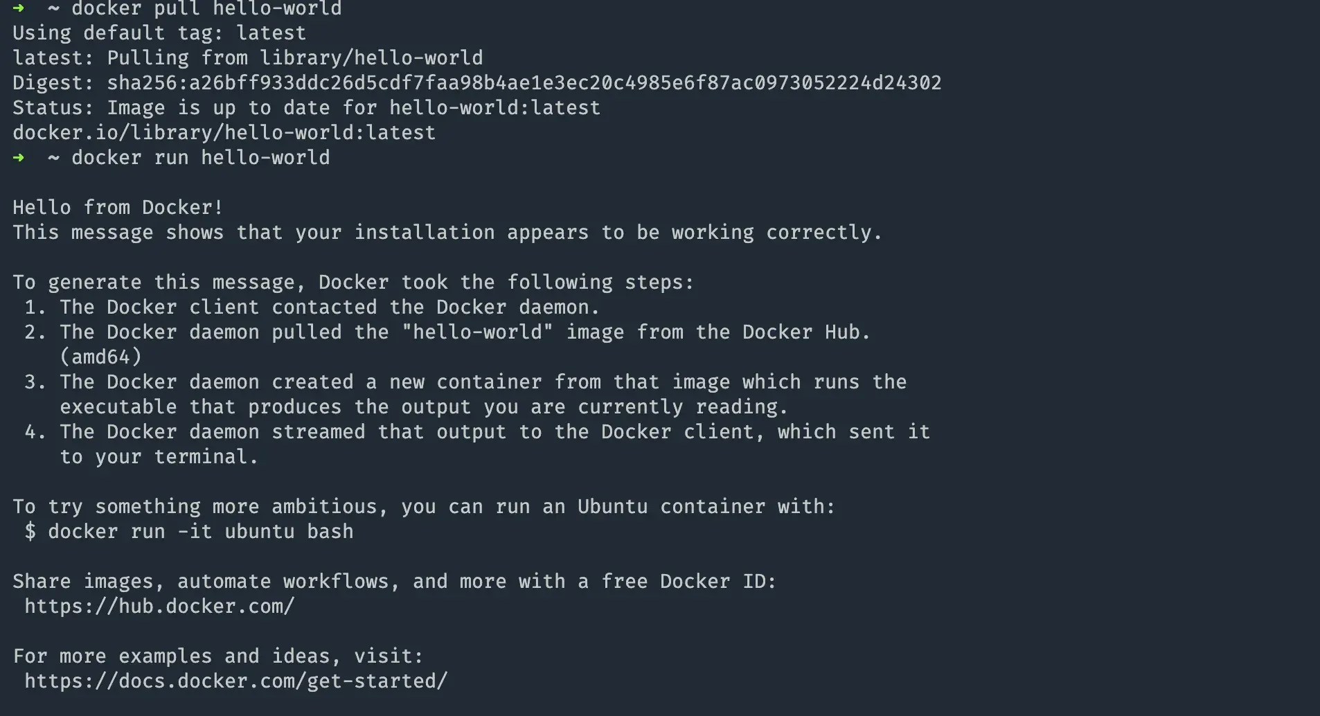 Docker 先拉取镜像再运行 hello-world